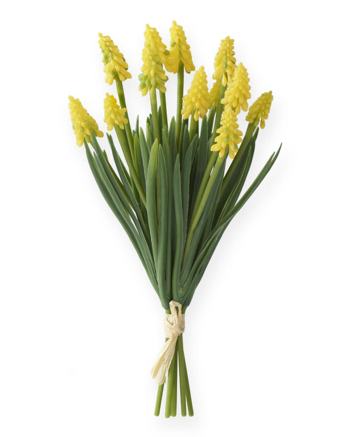 Ramo de Jacintos de Uva Amarilla