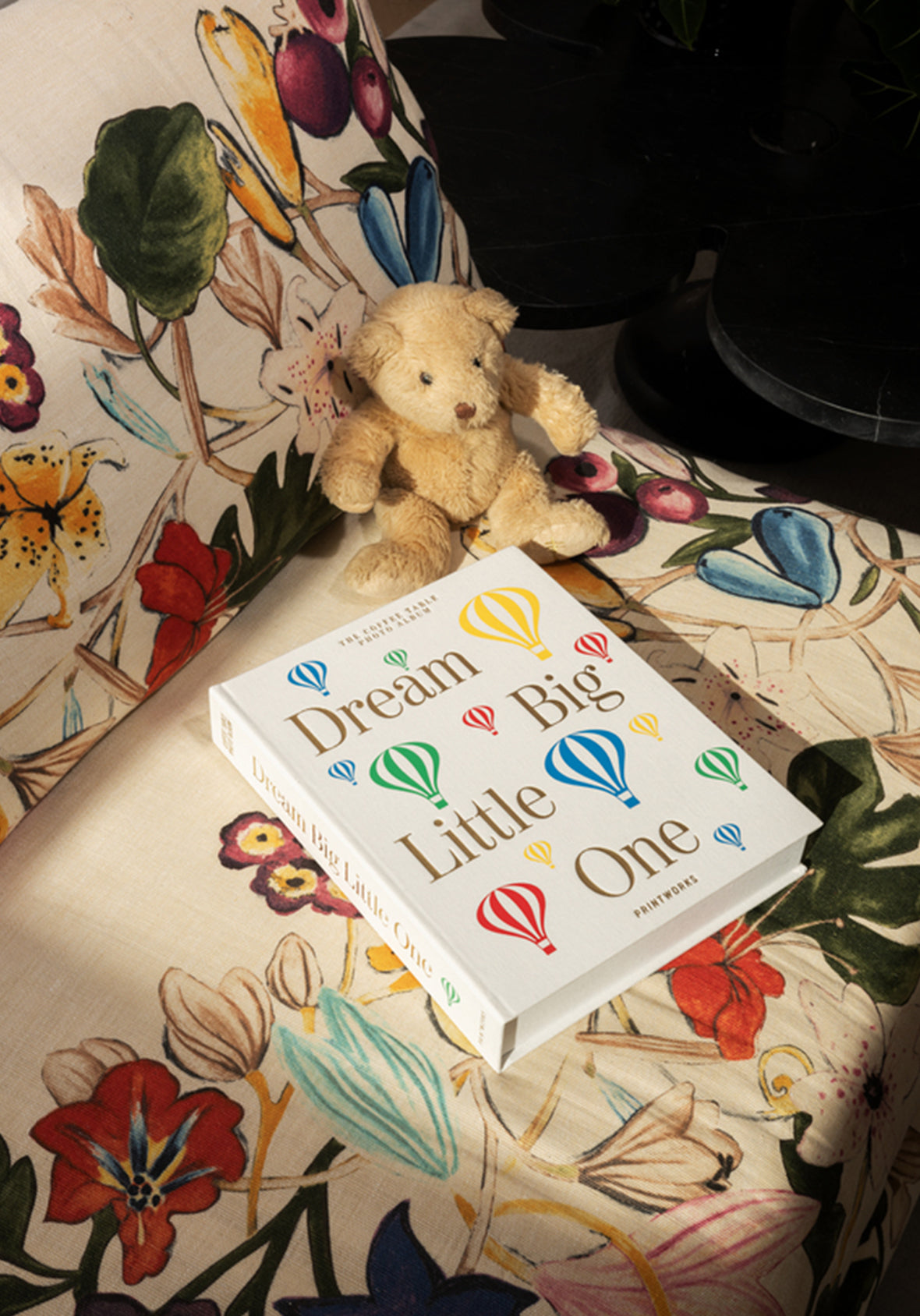 Álbum de fotos "Dream Big Little One" - Photo Album