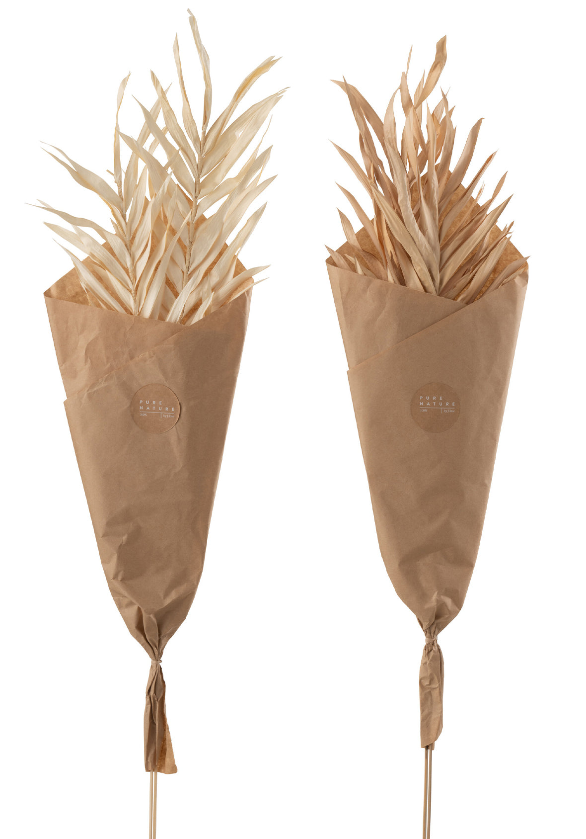 Ramo decorativo hojas secas naturales -set 2 piezas