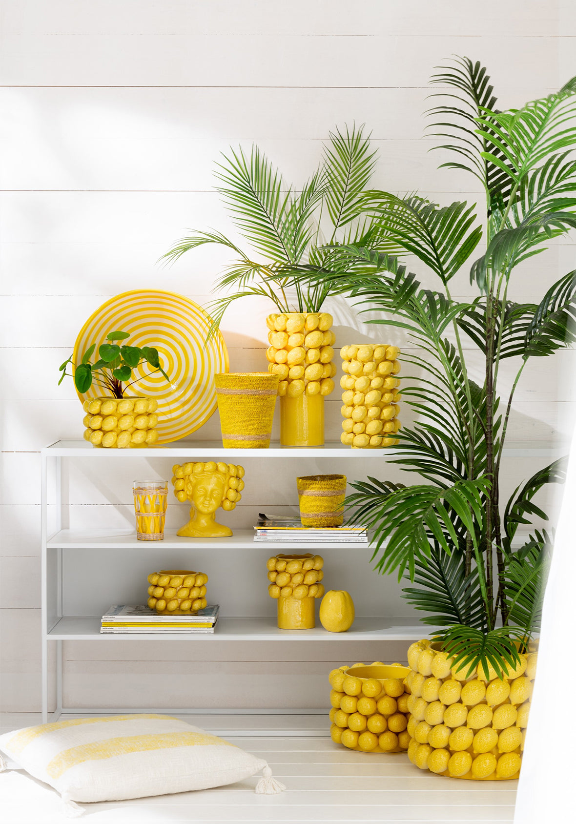 Maceta Lemons