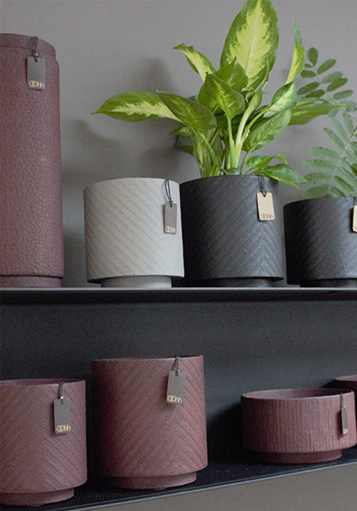 Florero Cilíndrico Madrid- Madrid Cylinder Vase Zero Waste