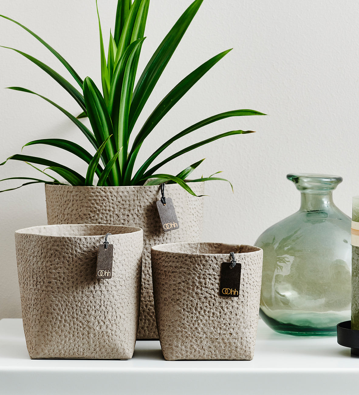 Maceta Madrid Zero Waste - Diseño Sustentable.
