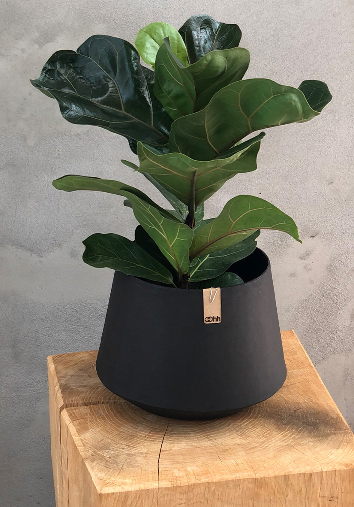 Maceta Tokyo Flower Pot - Diseño Escandinavo Artesanal y Sostenible
