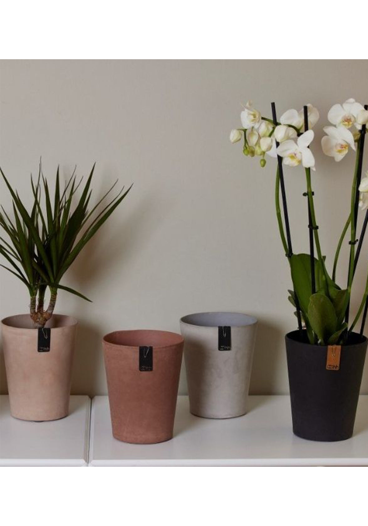Tokyo Orchid - Maceta para Orquídeas Tokyo