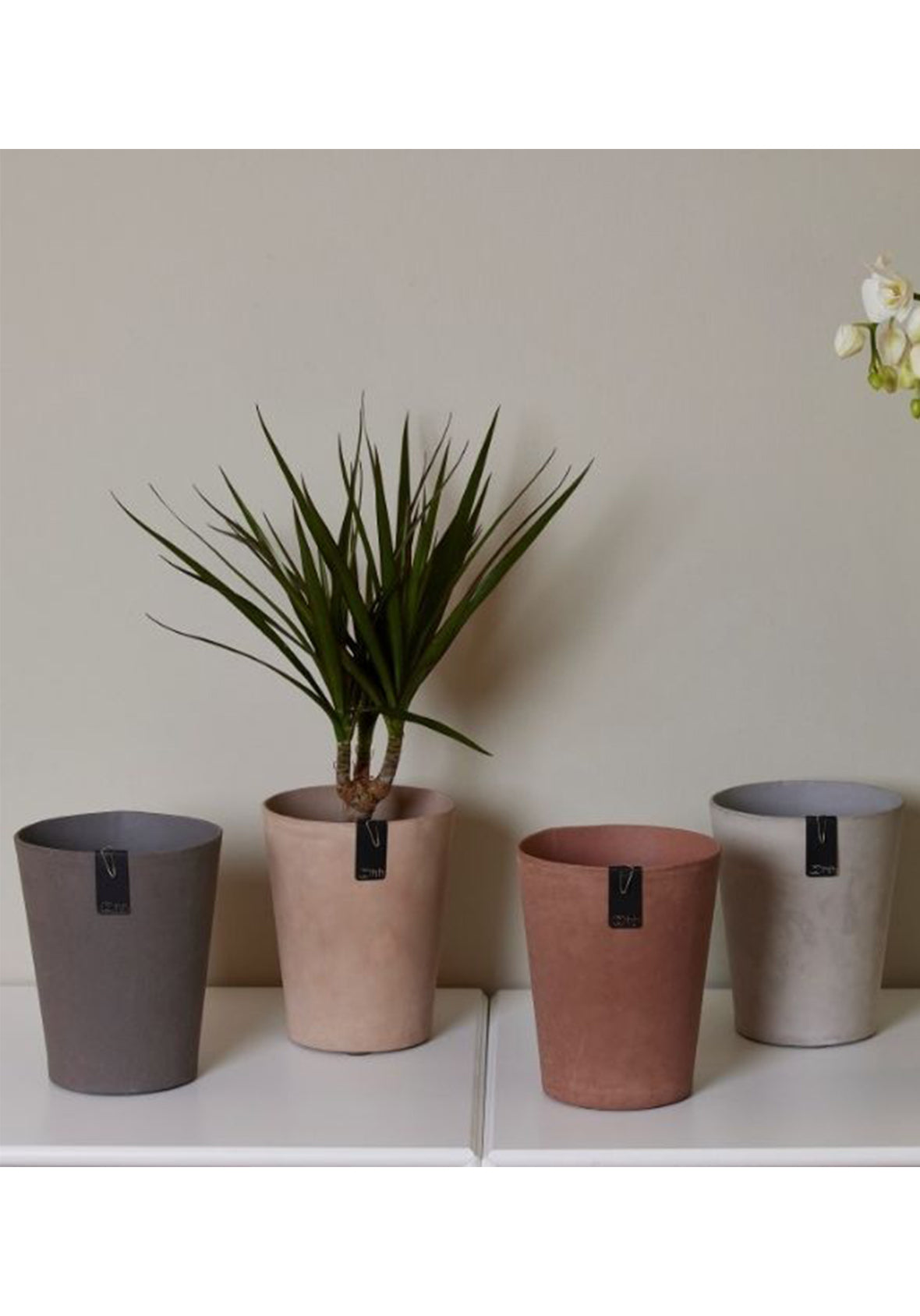 Tokyo Orchid - Maceta para Orquídeas Tokyo