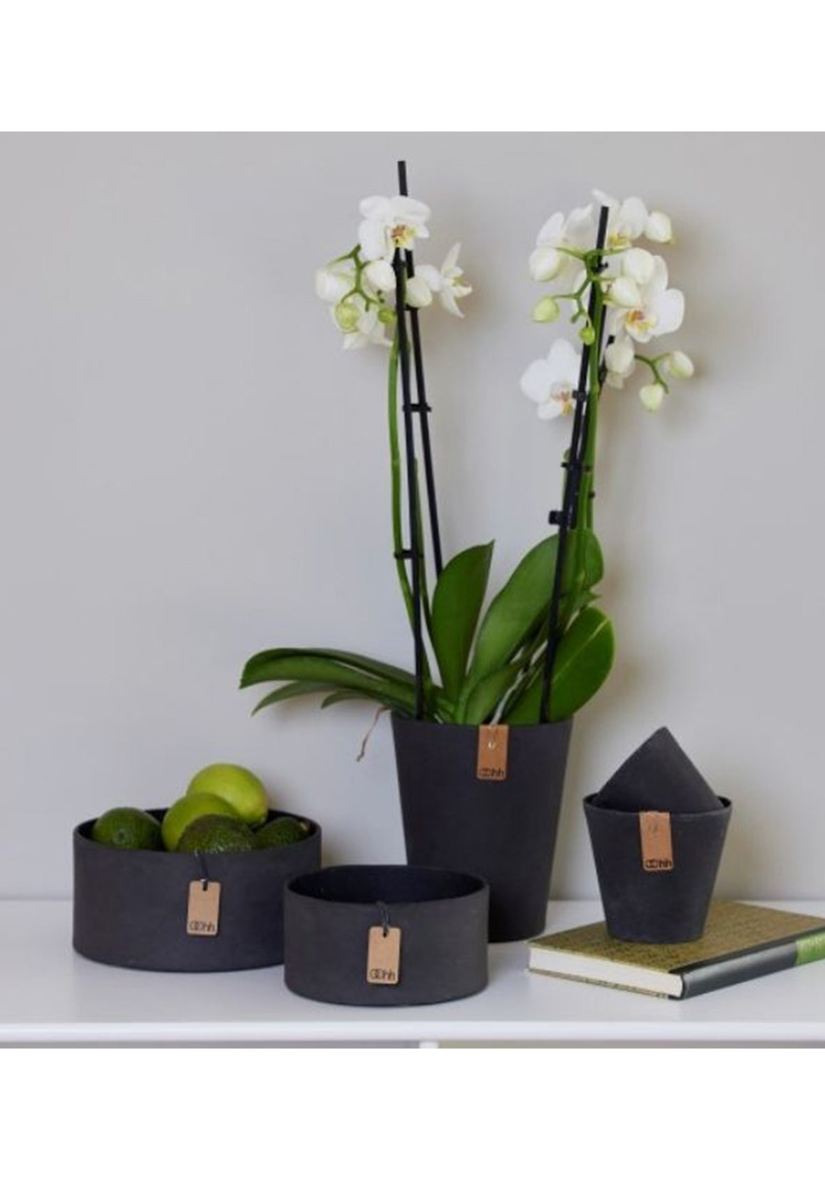 Tokyo Orchid - Maceta para Orquídeas Tokyo